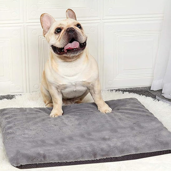 matelas-pour-chien-coussin-dehoussable-gris