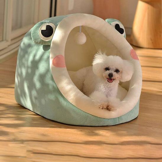 niche-chien-interieur-grenouille