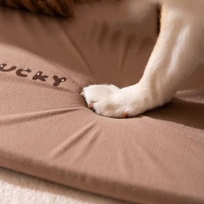 niche-interieur-chien-moelleux