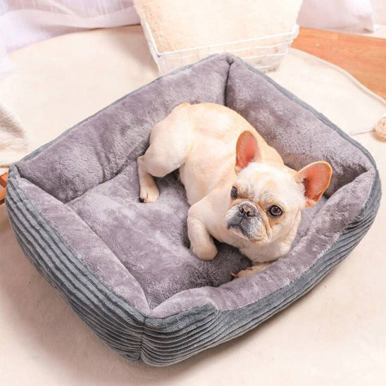 panier-a-chien-gris