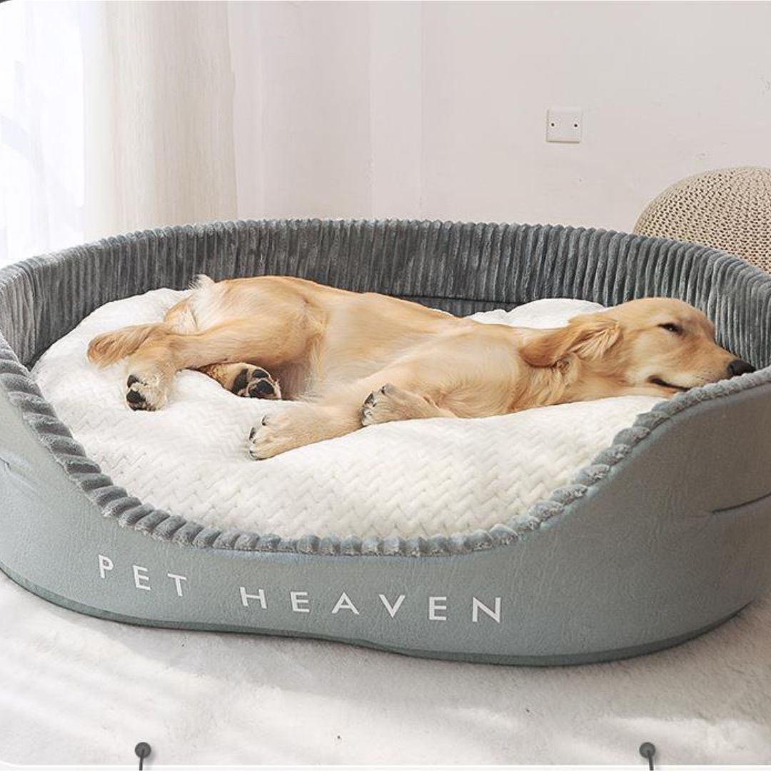 panier-chien-xxl-anti-stress