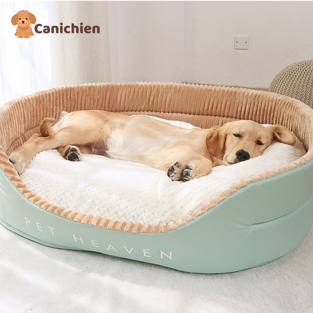 panier-chien-xxl-clair