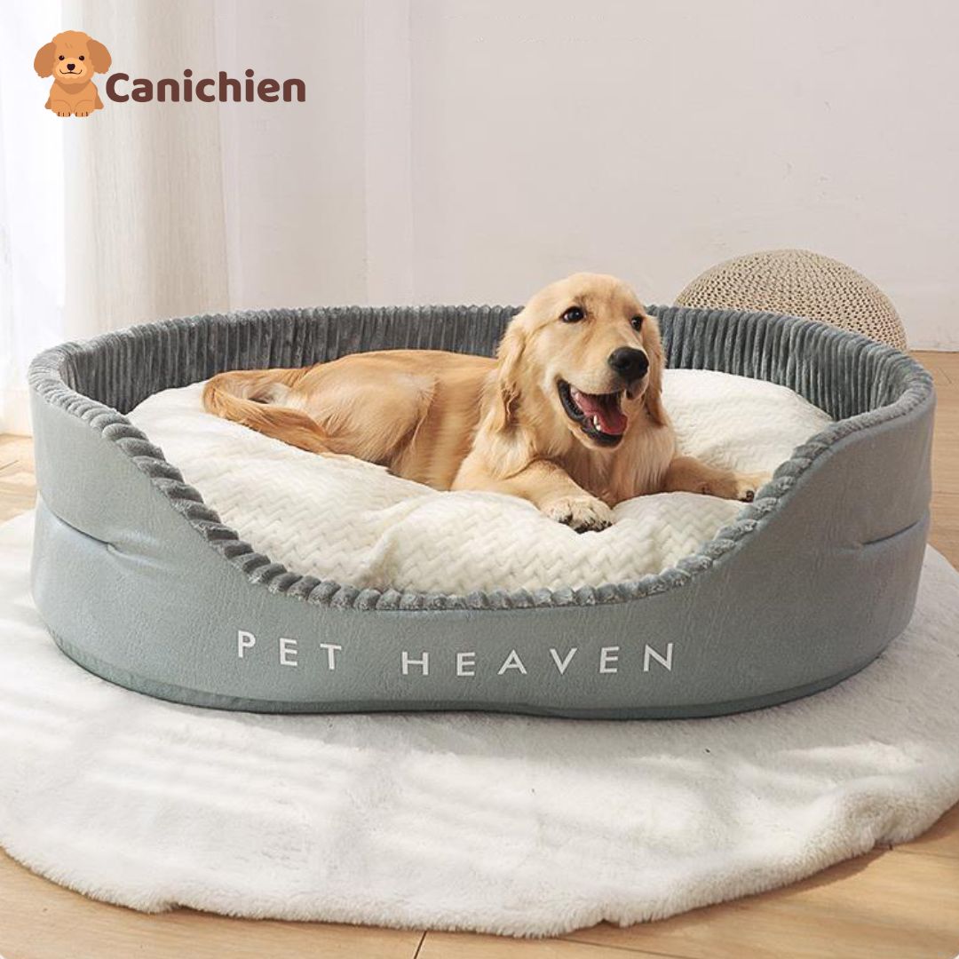 panier-chien-xxl-moelleux