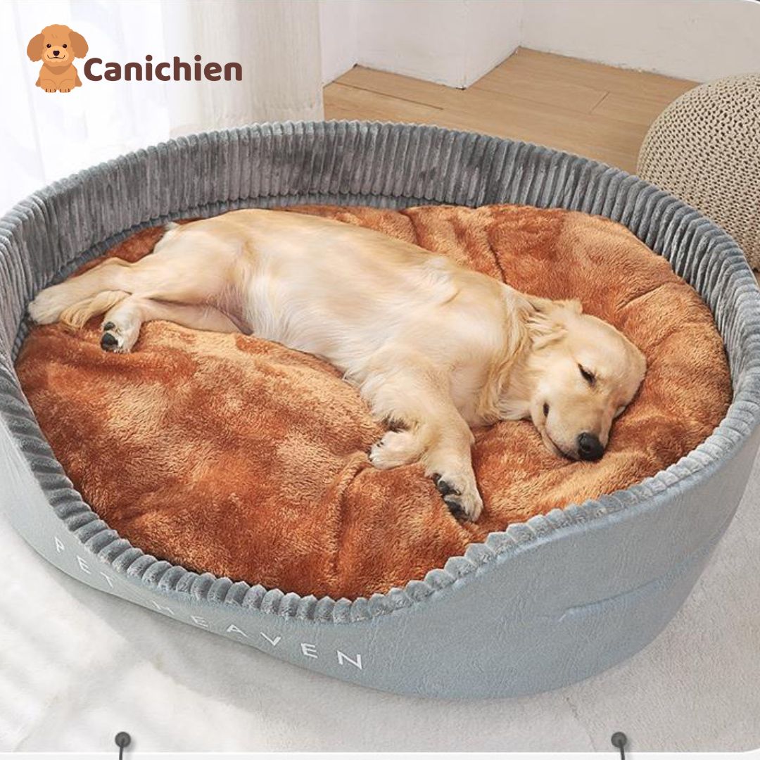 panier-chien-xxl-repossant