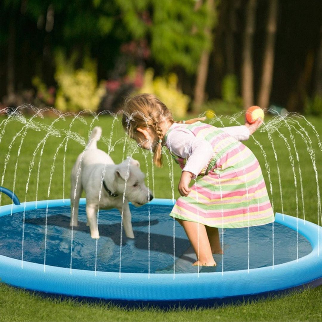 Piscine Pour Chien Avec Jet D eau SplashDog CANICHIEN piscine-pour-chien-avec-jet-d-eau-splashdog-canichien