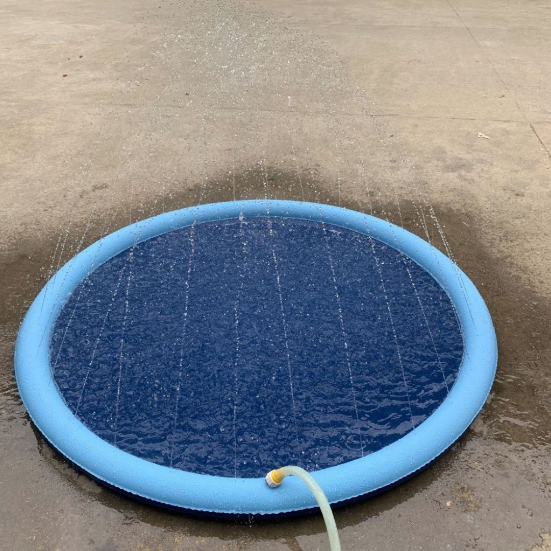 piscine-pour-chien-variante