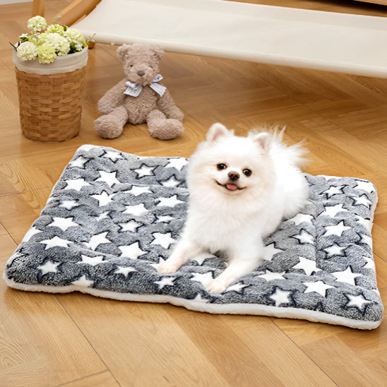 tapis-chien-gris-anti-stress-petit