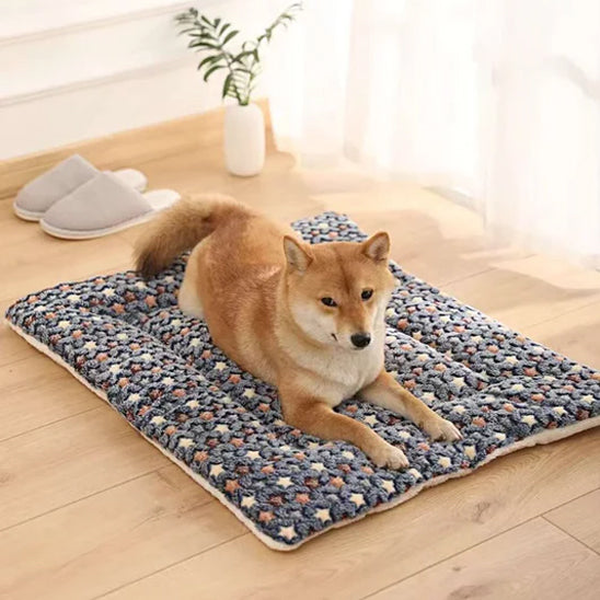 tapis-chien-gris-anti-stress