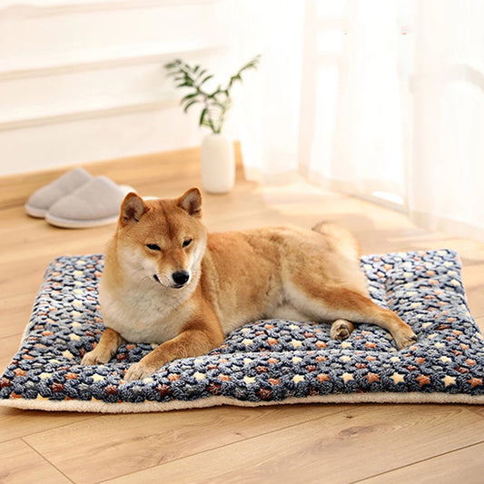 tapis-chien-gris-apaisant