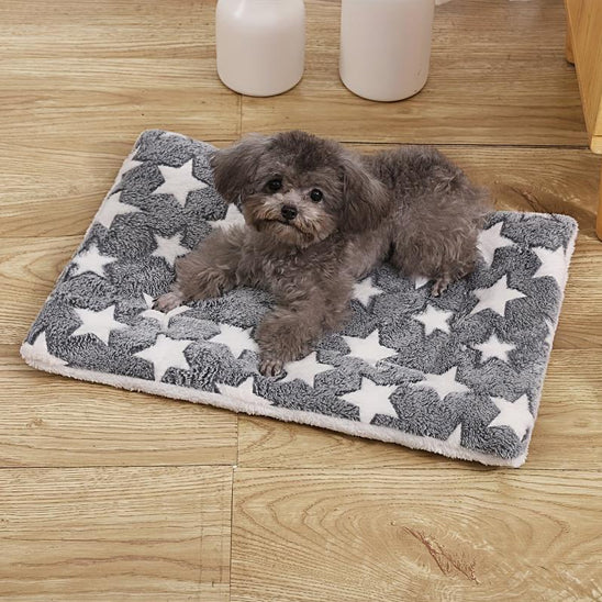 tapis-chien-gris-etoile