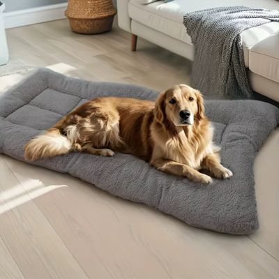 tapis-chien-xxl-grand