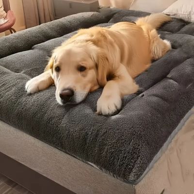 tapis-chien-xxl-transportable