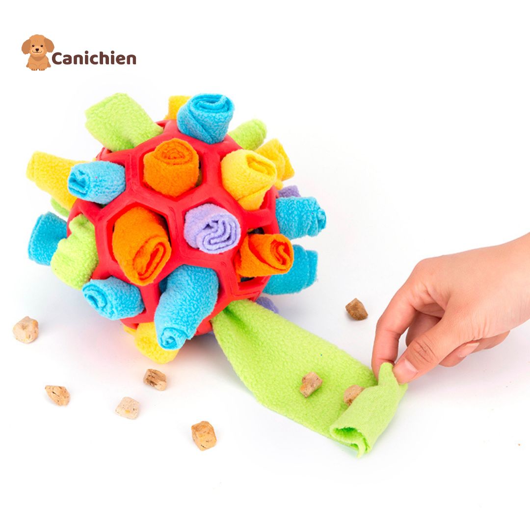 tapis-de-fouille-chien-croquette-cacher