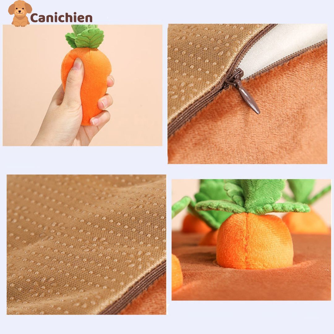 tapis-de-fouille-chien-details-photo