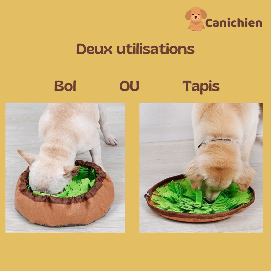 tapis-de-fouille-chien-double-utilisations