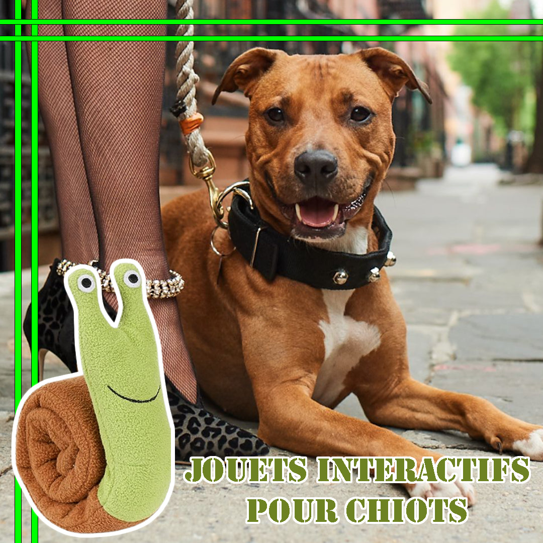 tapis-de-fouille-chien-escargot-peluche