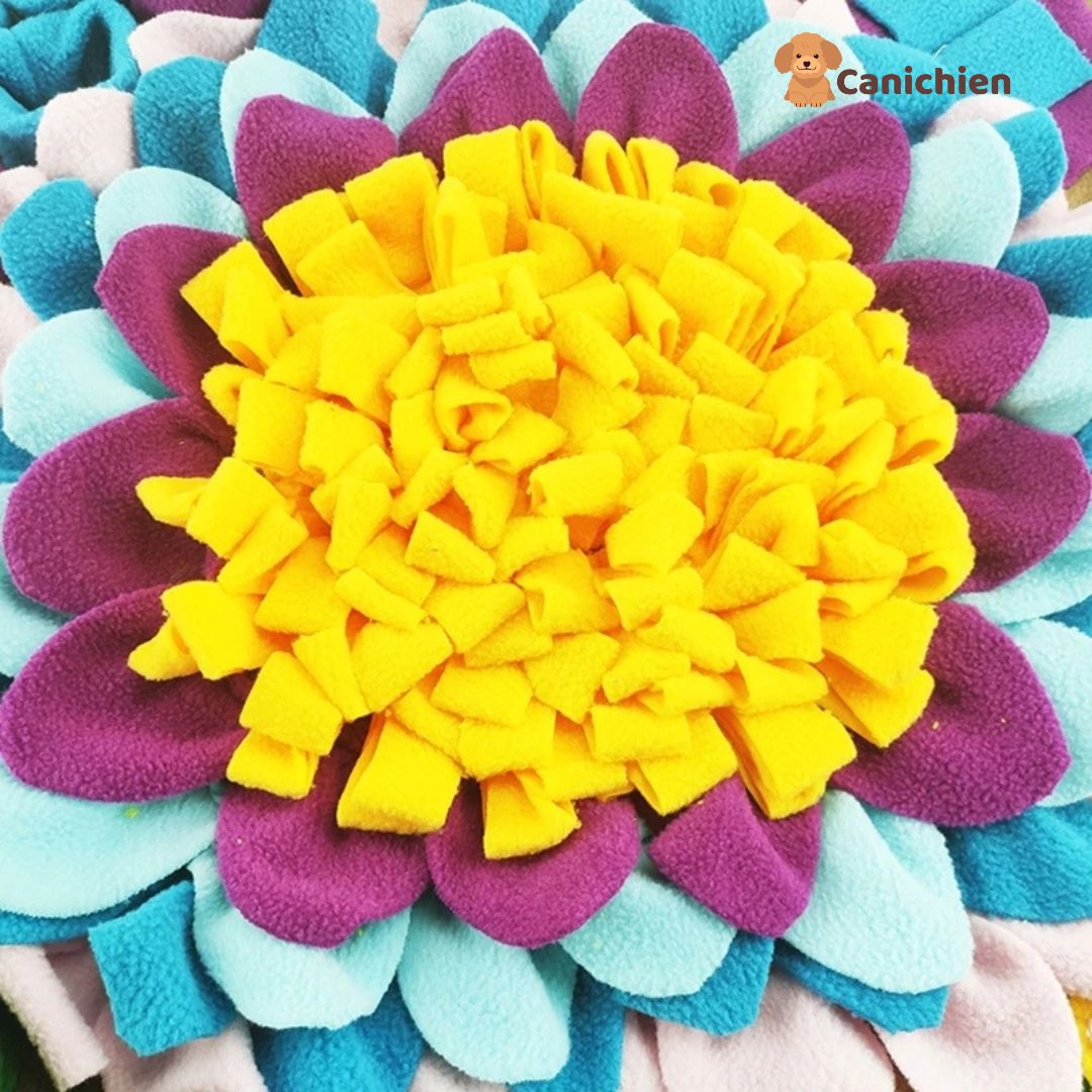 tapis-de-fouille-chien-vue-de-pres