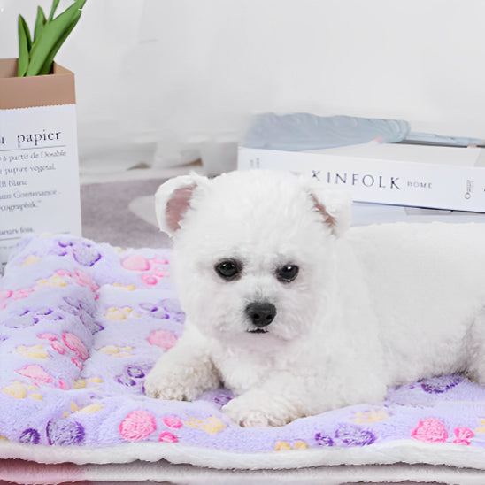 tapis-pour-chiens-mauve-apaisant-flanelle-chaud