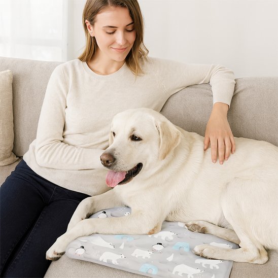 tapis-rafraichissant-chien-canape
