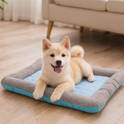 tapis-rafraichissant-chien-couleur-bleu-refroidissant