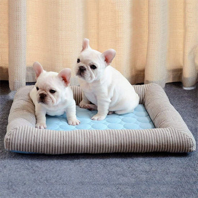 tapis-rafraichissant-chien-couleur-bleu