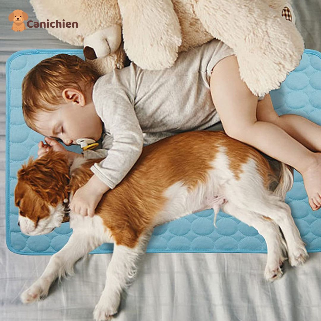 tapis-rafraichissant-chien-enfant