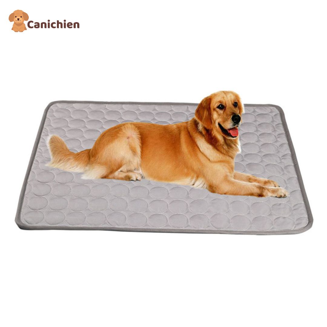 tapis-rafraichissant-chien-gris