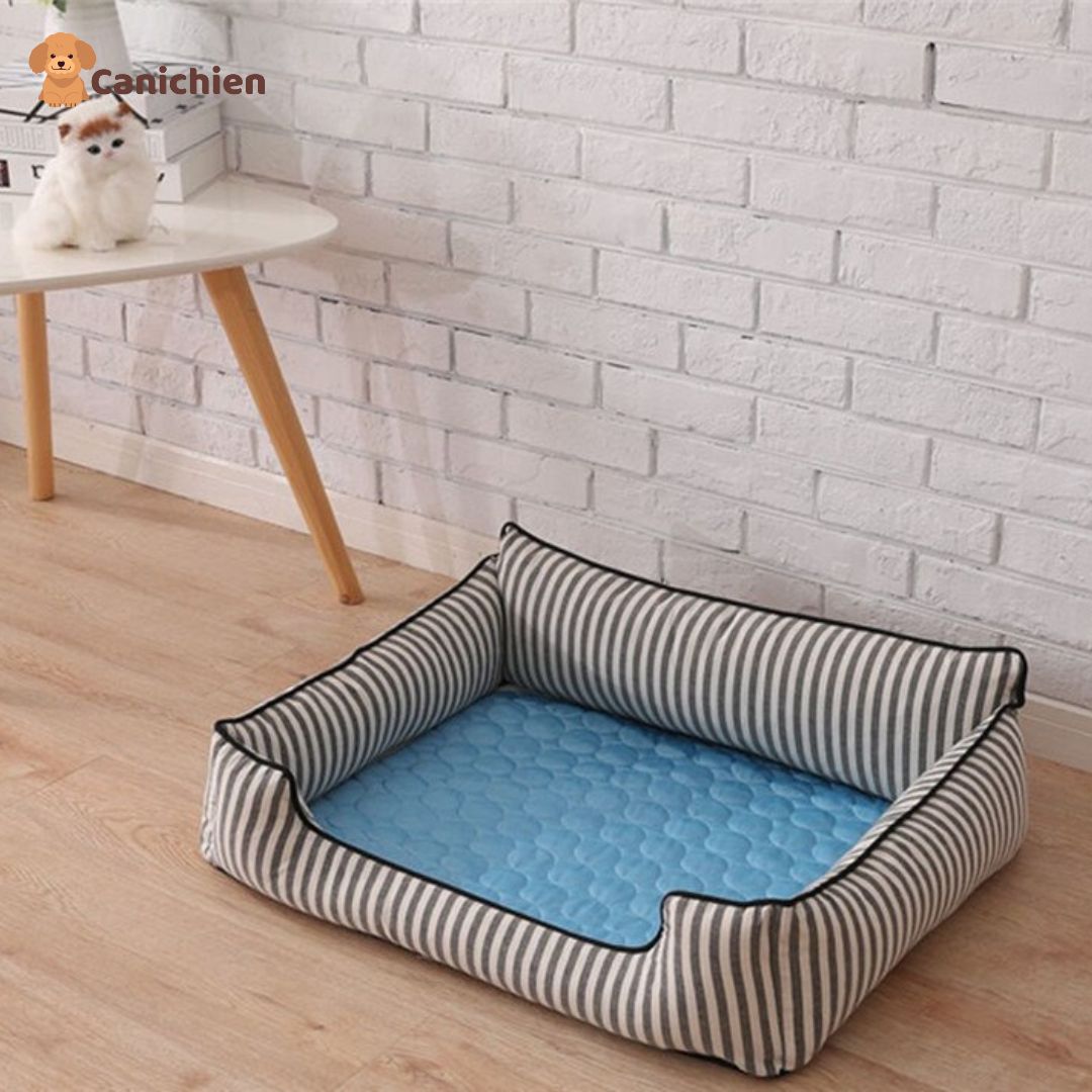 tapis-rafraichissant-chien-pour-coussin-chien