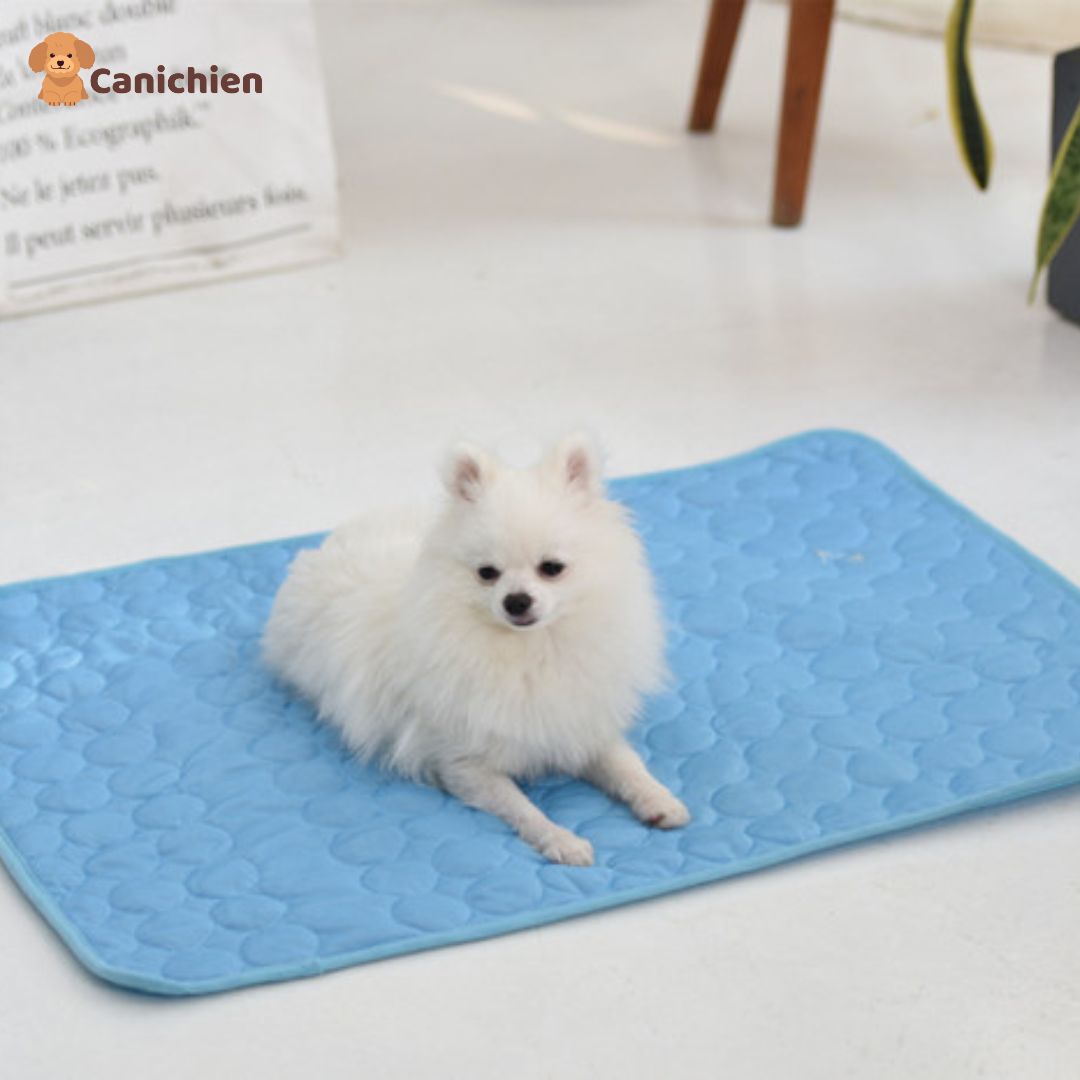tapis-rafraichissant-chien