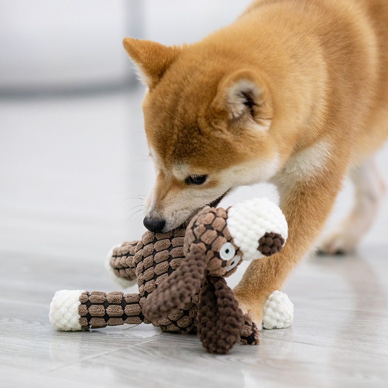 Peluche-pour-chien