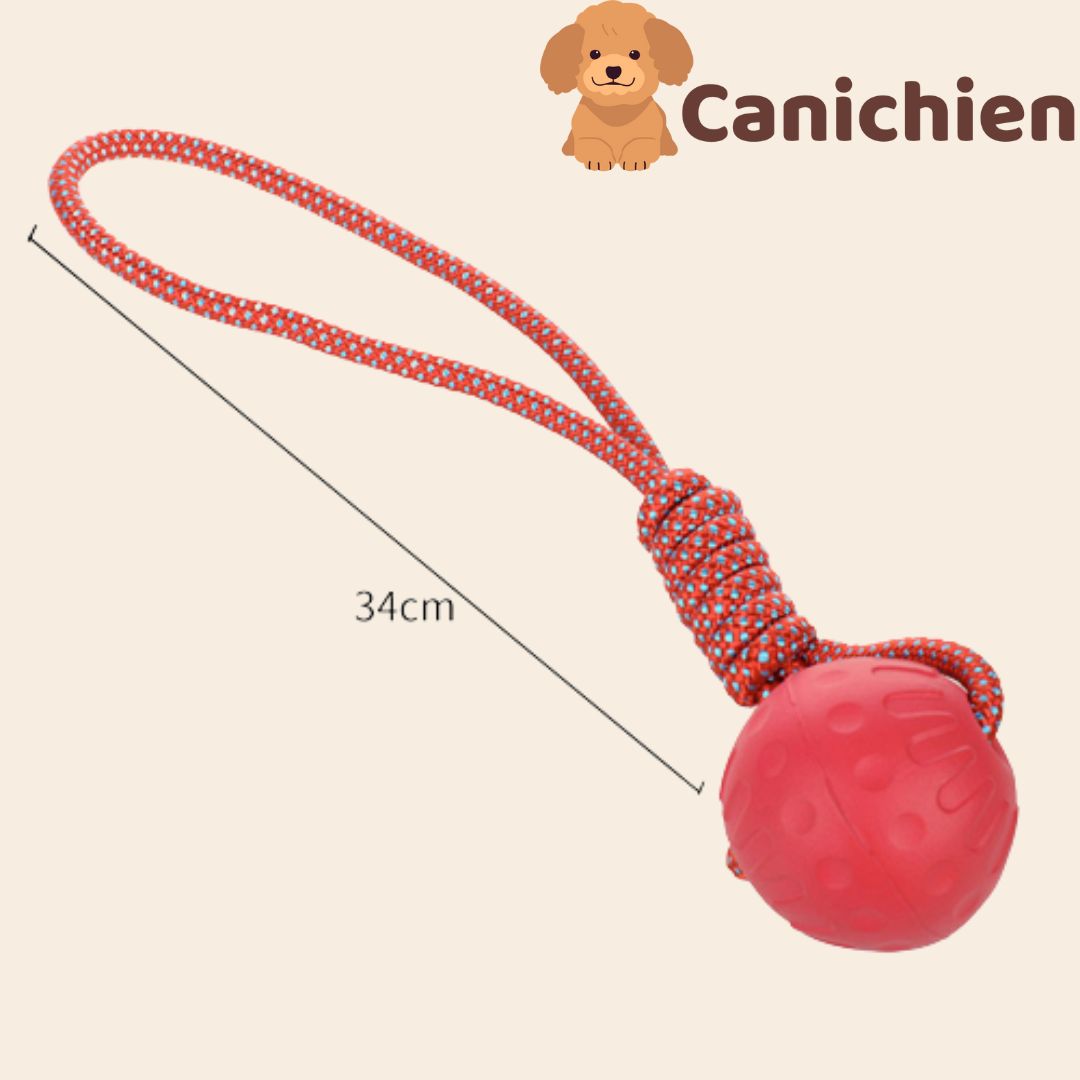 Balle pour chien | IndestructibleBalls™