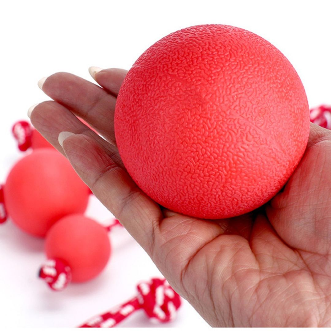 Balle pour chien | IndestructibleBalls™