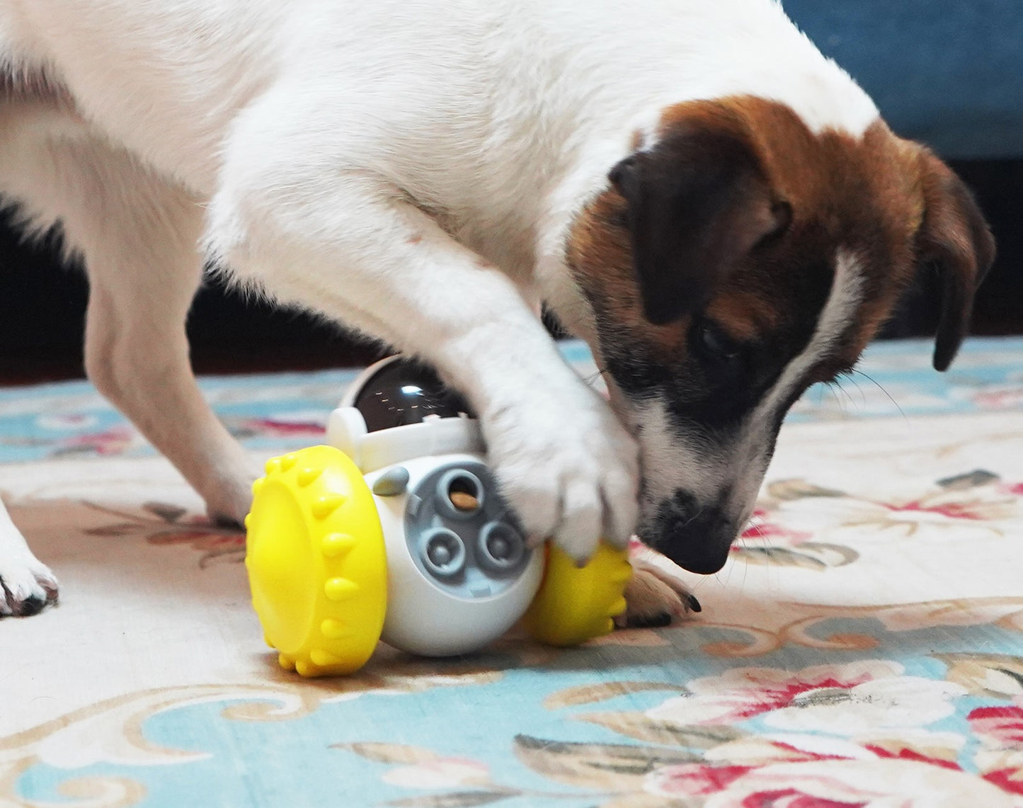 distributeur-croquette-chien-interactif-anti-glouton