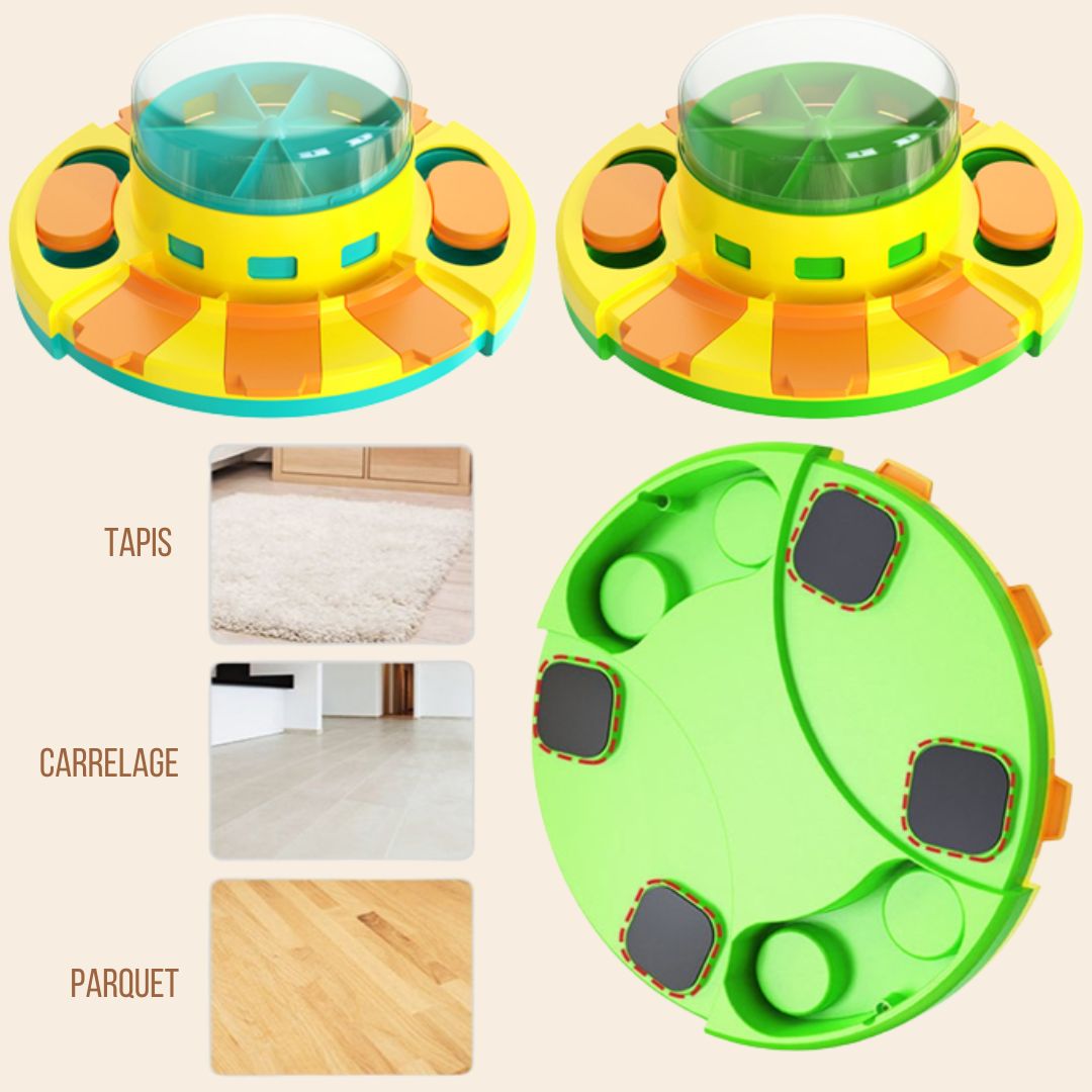 jeu-intelligence-chien-anti-glouton