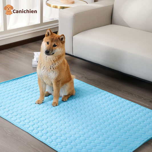 TAPIS RAFRAICHISSANT CHIEN XXL | CoolPad™