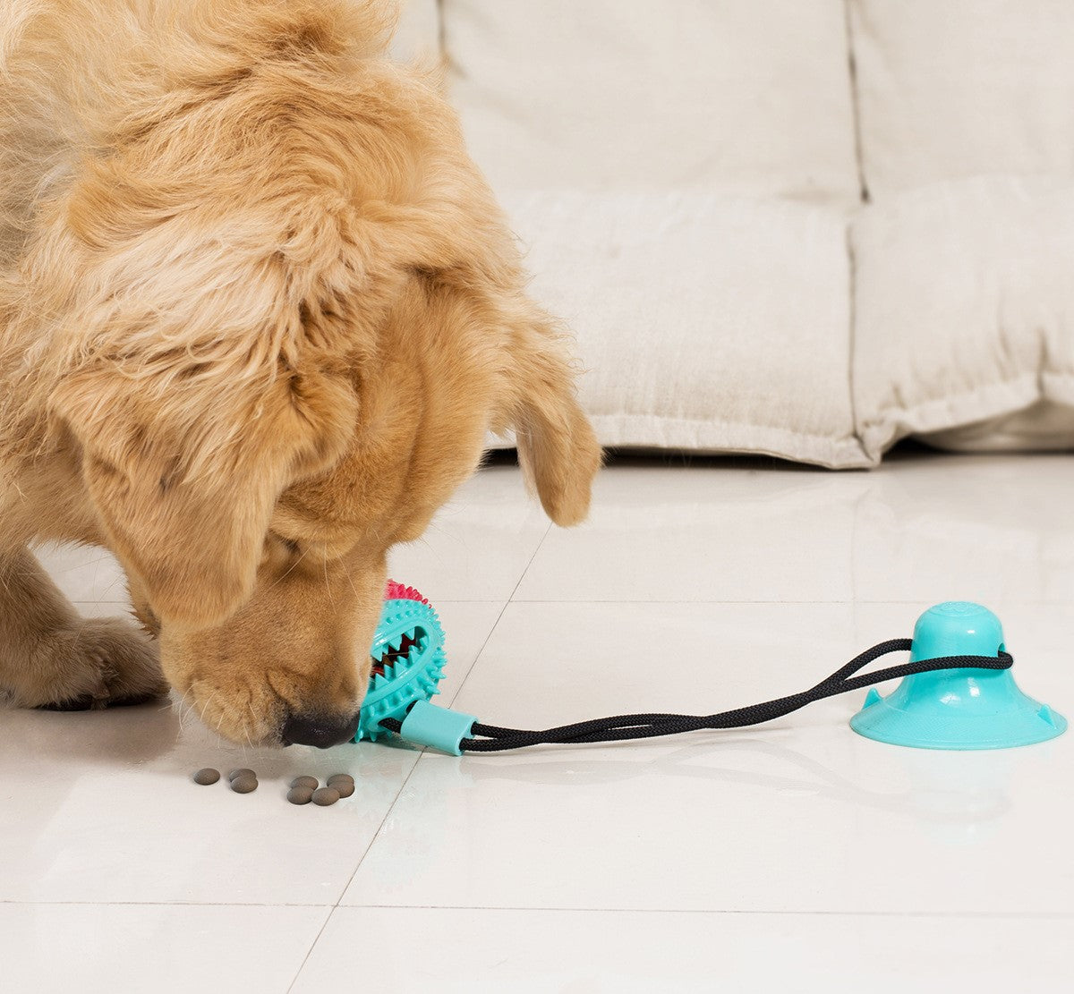 balle-pour-chien-jouet-chien-anti-stress