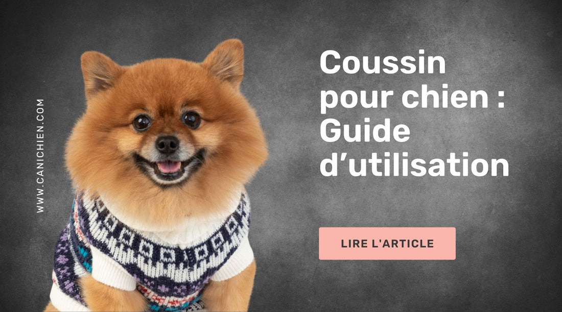 Coussin_pour_chien_-_Guide_utilisation