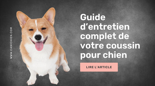 Coussin pour chien guide entretien