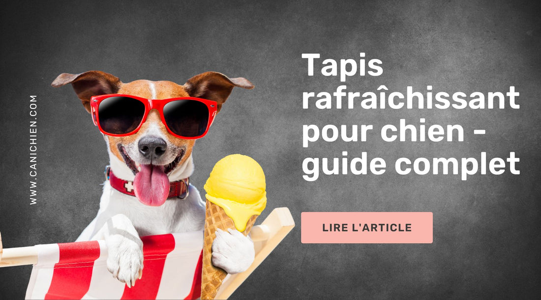 Tapis-rafraichissant-chien-guide