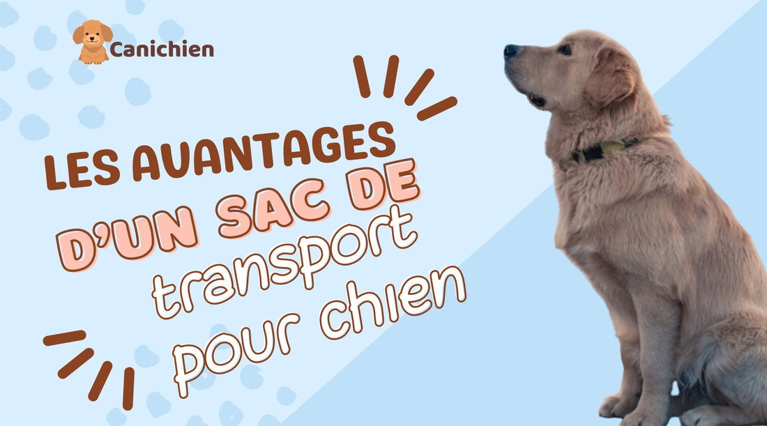 avantage-sac-de-transport-pour-chien