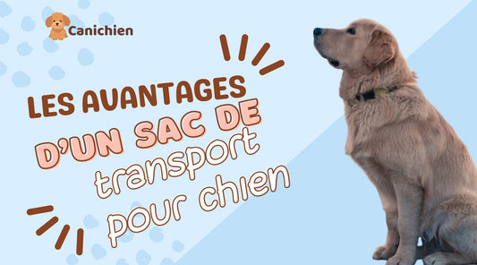avantage-sac-de-transport-pour-chien