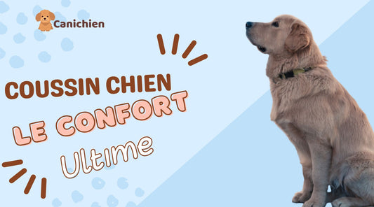 coussin-chien-conseil