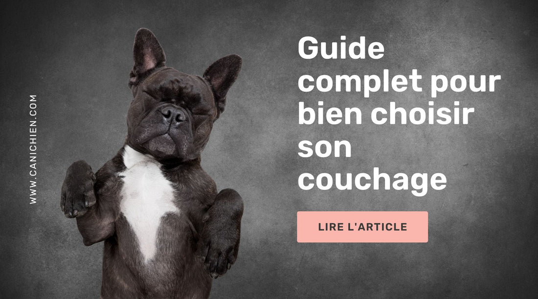 guide-coussin-panier-chien