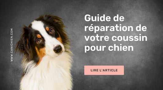 guide reparation coussin chien