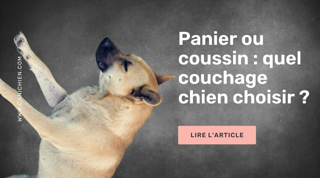 panier ou coussin pour chien