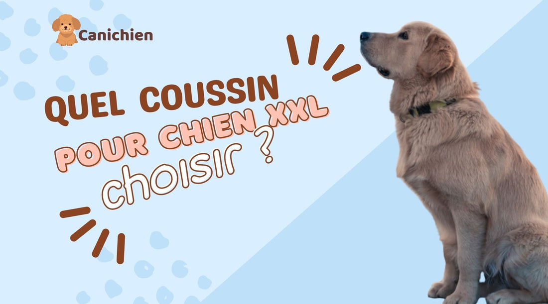 coussin-pour-chien-xxl