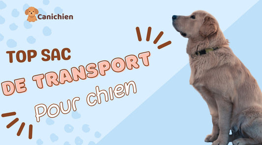 top-sac-de-transport-pour-chien