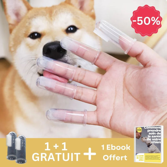 Brosse à dents pour chiens | CleanSmile™