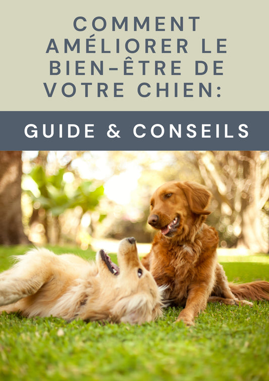 Ebook - Comment amélioré le bien être de votre chien