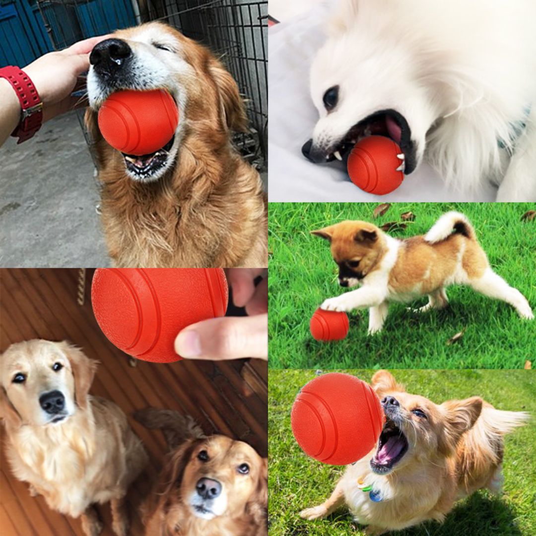 Balle pour chien | IndestructibleBalls™